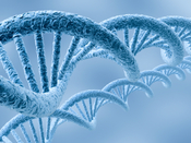 dna-strand.jpg