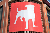 zynga.jpg